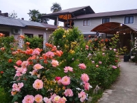 Гостевой дом «Роза»