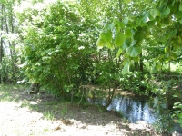 На территории участка протекает речка,благодаря которой, даже в знойный летний день не чувствуется жара