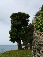 Генуэзская крепость в Кындыге